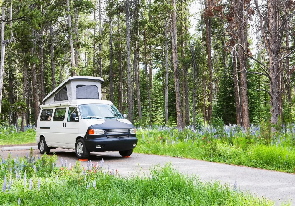 55281,Camper van on rural road, Pioneer Mountains Parkway, Montana, United States